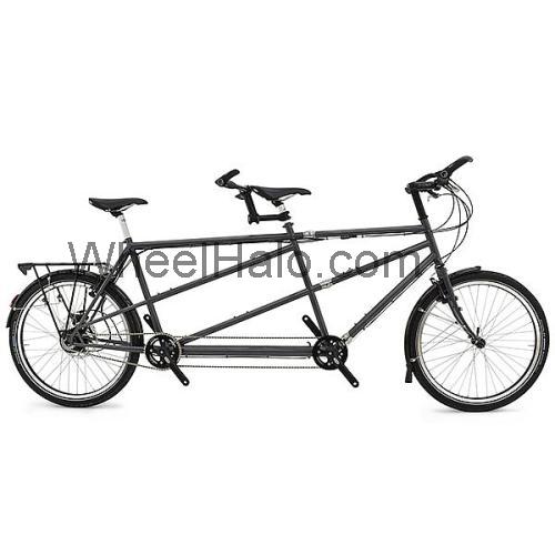 Thorn Discovery specs and reviews